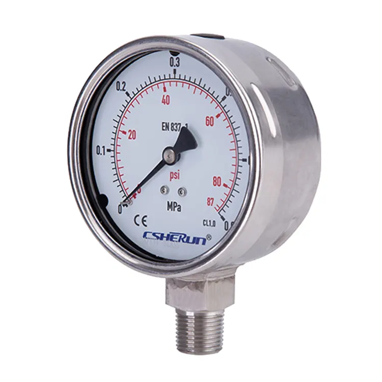 Komplett aus Edelstahl gefertigtes Manometer