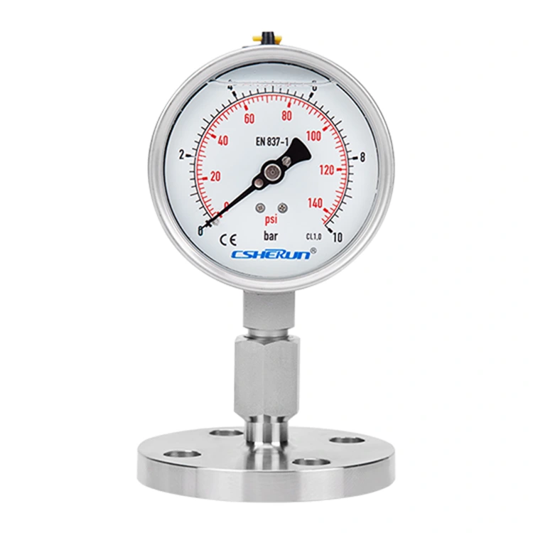 Manometer pro EN 837-1 mit montierter Membrandichtung
